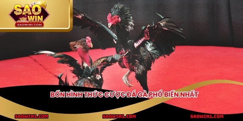 Bốn hình thức cược đá gà phổ biến nhất